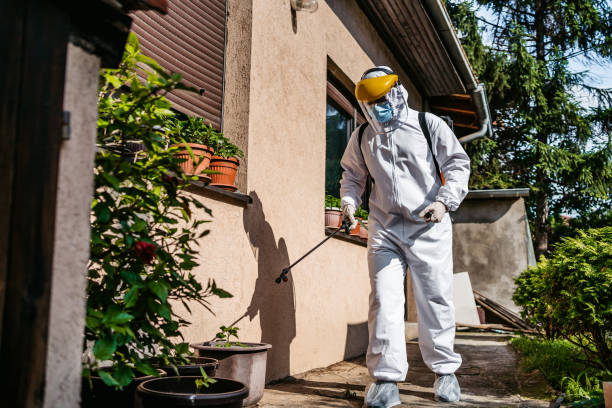 Best Cockroach Control Services  in Herington, KS