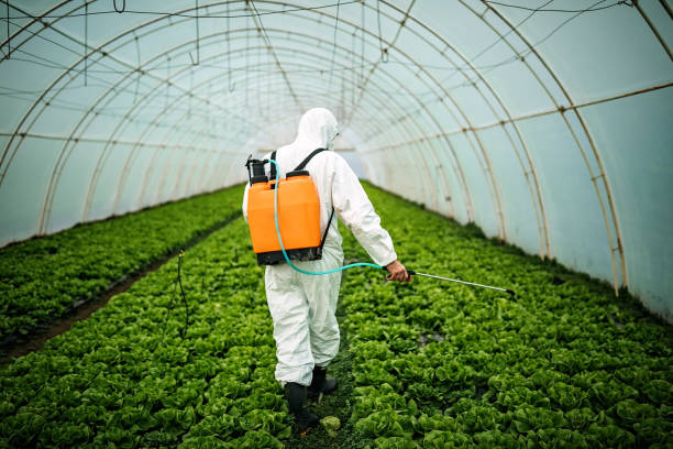 Best Best Pest Control Companies  in Herington, KS
