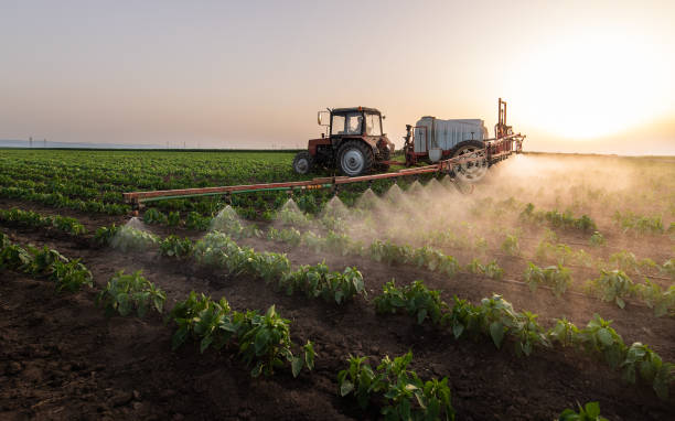Best Wildlife Control Services  in Herington, KS