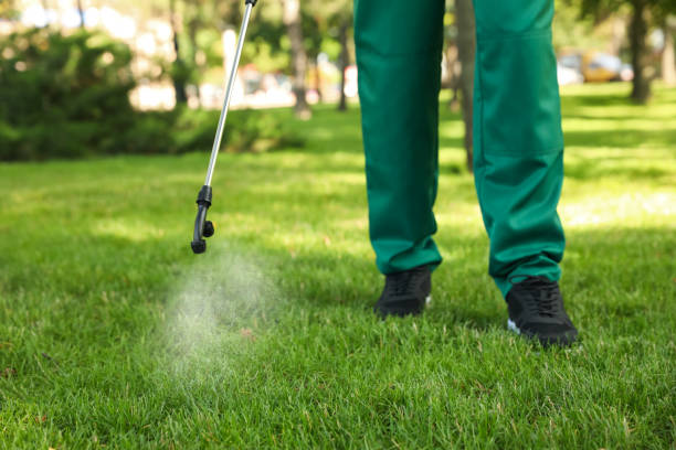 Best Bed Bug Extermination  in Herington, KS