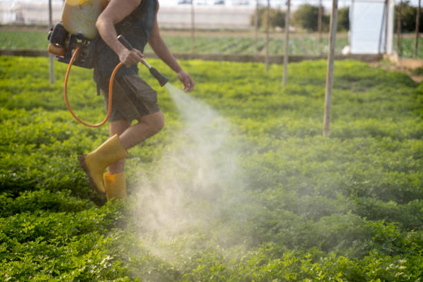 Best Affordable Pest Control Services  in Herington, KS