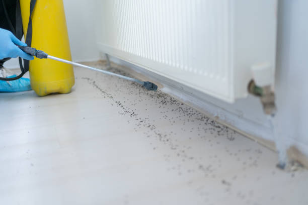Best Pest Removal Services  in Herington, KS