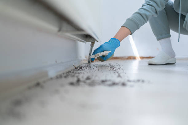 Best Best Pest Control Companies  in Herington, KS